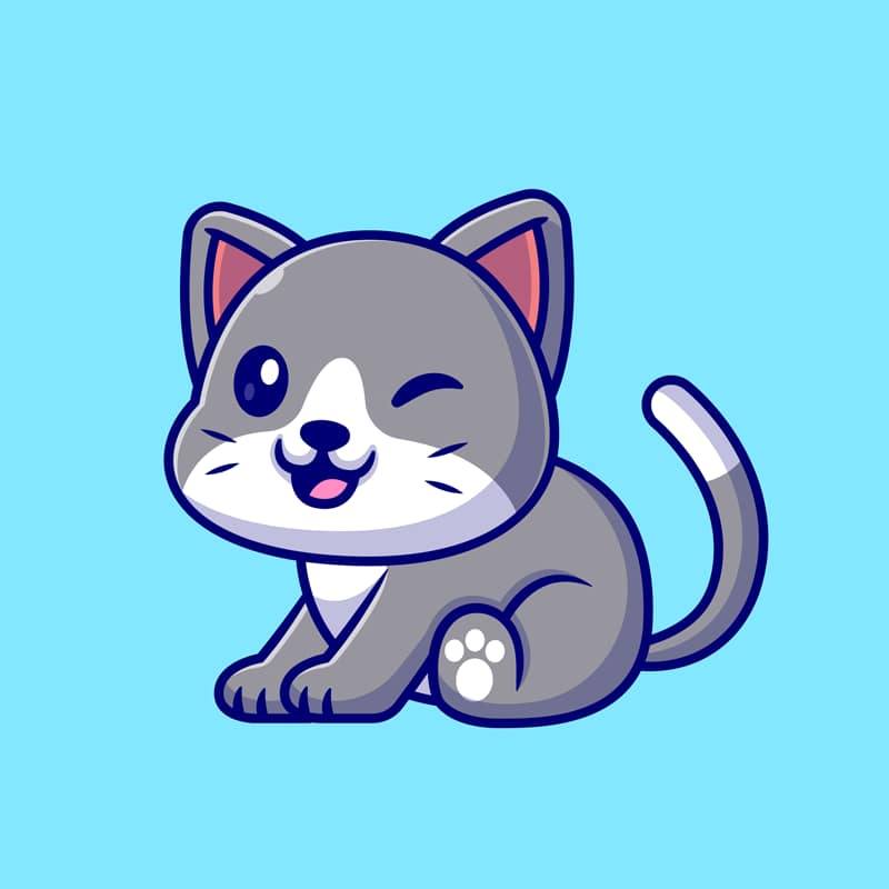 Descubriendo el gato ideal