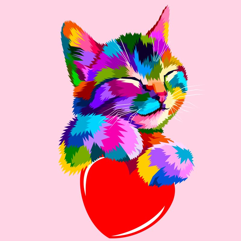 un-adorable-Gatito un adorable Gatito