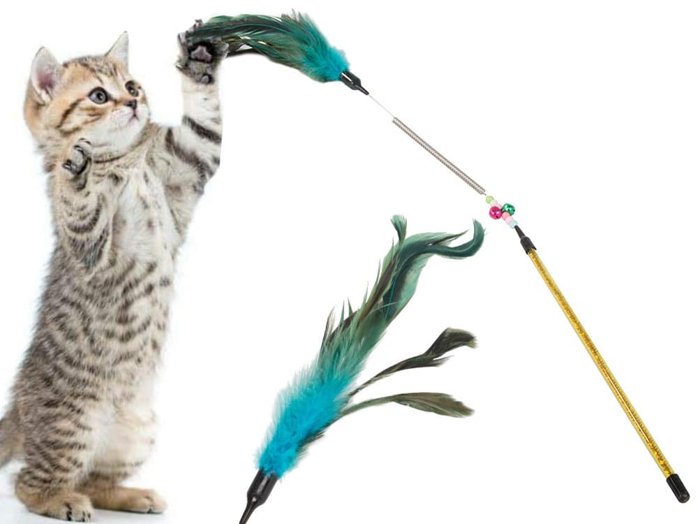 Un gatito saltando para atrapar un juguete